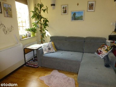 al. gen. Władysława Sikorskiego, Zalesie, Rzeszów, podkarpackie