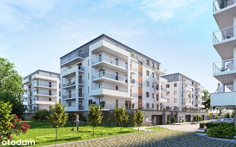 Chełmska Góra Etap II - B-11-M32