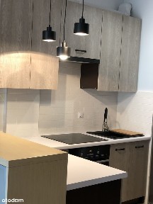 Wynajmę mieszkanie 42m2 z garażem, balkonem i komórką lokatorską