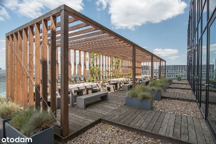 ul. Domaniewska, Służewiec, Mokotów, Warszawa, mazowieckie