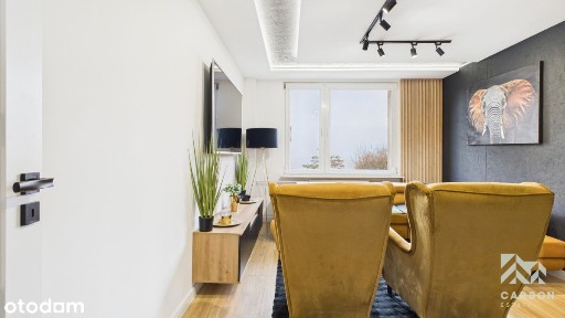 Mikołów-centrum-początek pięknej historii