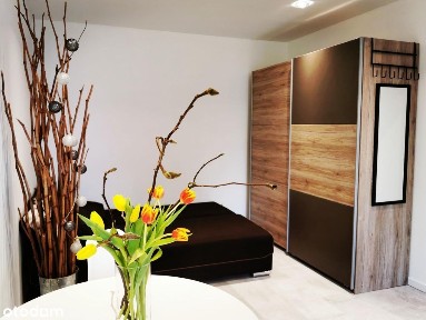 Kawalerka Gliwice Sikornik Parter