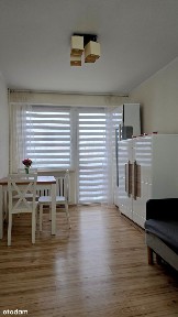 Słoneczne 2-pokojowe mieszkanie w dobrej lokalizacji na sprzedaż!