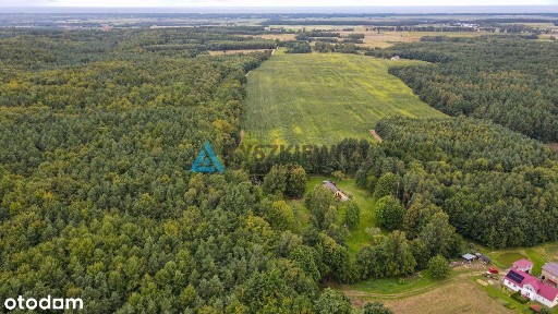Urokliwy dom w Porąbie z własnym stawem