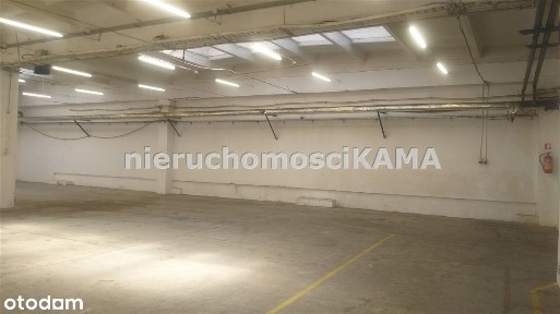Hala/Magazyn, 810,7 m²