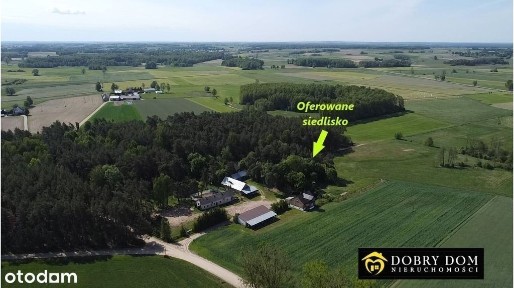 *Siedlisko na Podlasiu w otulinie lasu*
