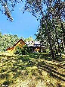 Klimatyczny dom 187 m2, na pięknej, zalesionej działce 5000 m2