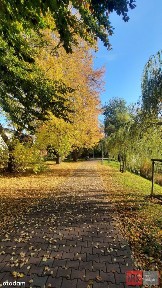 ul. Gwiaździsta, Marymont-Ruda, Bielany, Warszawa, mazowieckie