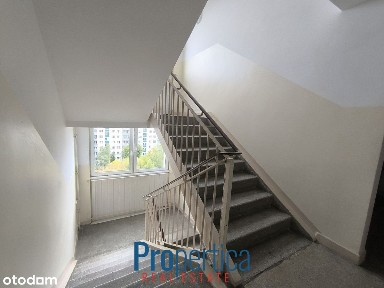 dla rodziny | do remontu