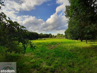 Gmina Bolesław - Ujków Nowy