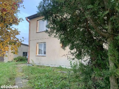 na sprzedaż siedlisko Ladorudz pow Koło