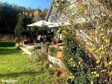 Dąbcze, Rydzyna, leszczyński, wielkopolskie