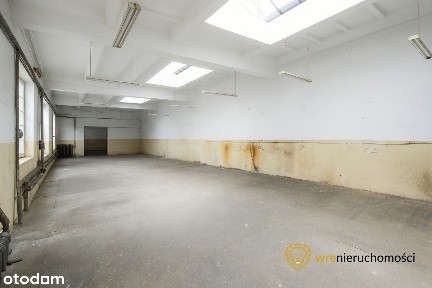 Bliżniak i Hala | dowolna działaność