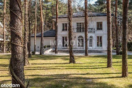 0% prowizji ✨ szybki dojazd do W-wy ✨ sosnowy las