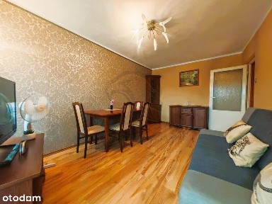 Storczykowe Love z widokiem na park