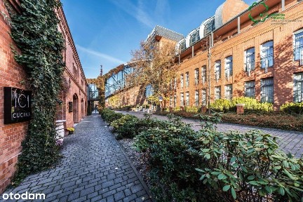 Grunwald, Poznań, wielkopolskie