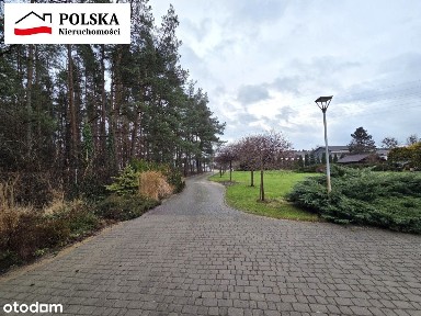 Orle, Wejherowo, wejherowski, pomorskie