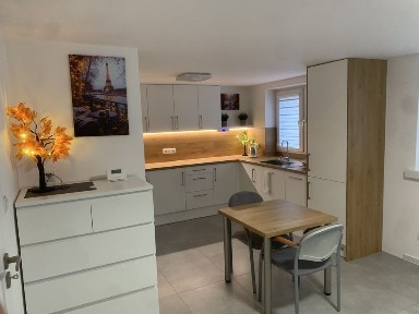 Mieszkanie salon z otwartą kuchnią.