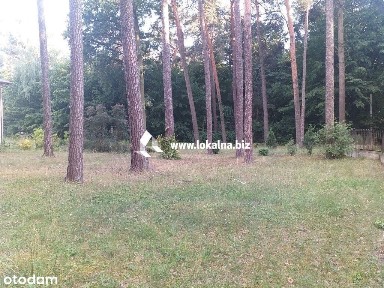 3 Pokoje, 100 M2 Po Kapitalnym Remoncie Ogród