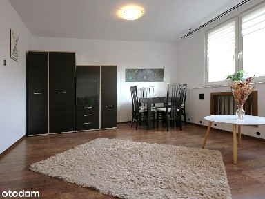 Kawalerka z widokiem na park - blisko Politechniki