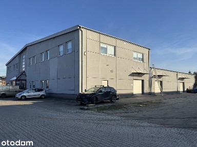 Powierzchnia Użytkowa do wynajęcia na part i na 1 pięt. od 50 do 500m2
