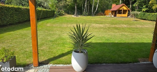 Głuszyca, wałbrzyski, dolnośląskie