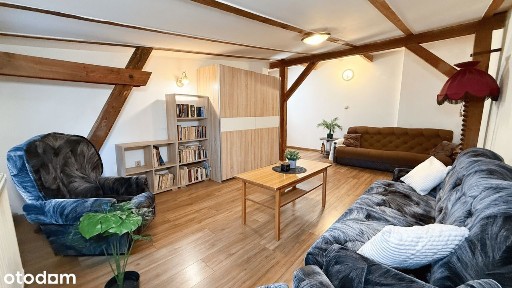 Funkcjonalne Mieszkanie Centrum I Park I Wieża Ciśnień I WSG