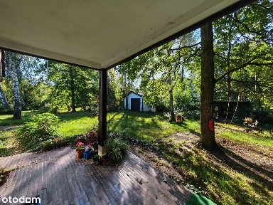 Duża zadrzewiona działka, salon wysoki na 6 metrów!