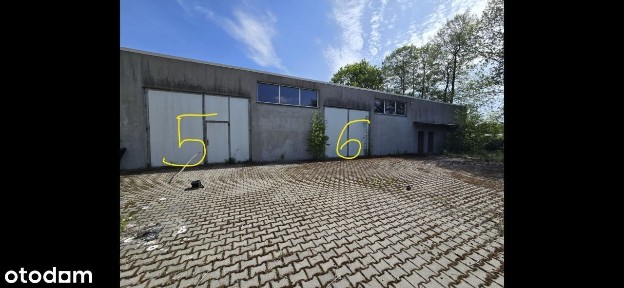 Sulechów/hale 1220m2/działka 4800m2/10 bram