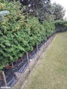 ul. Targowa, Nowa Sól, nowosolski, lubuskie