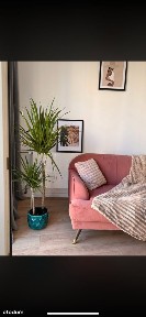 ul. Dzika, Muranów, Śródmieście, Warszawa, mazowieckie