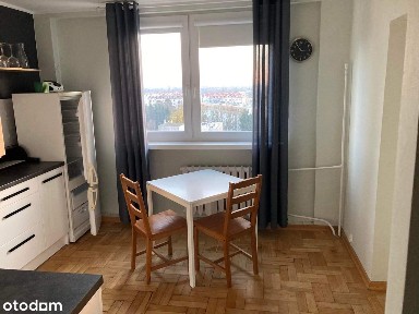 Jelonki Południowe, Bemowo, Warszawa, mazowieckie