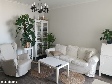 Mieszkanie/2 Pokoje/wynajem/atrakcyjna cena/bezpośrednio