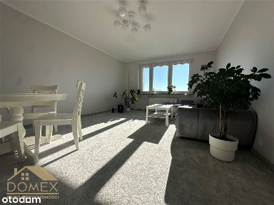 Wodzisław Śląski, wodzisławski, śląskie