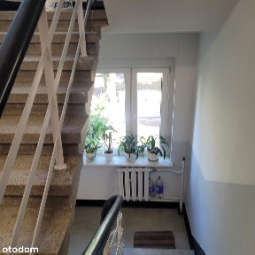 ul. ks. kard. Stefana Wyszyńskiego, Koszutka, Katowice, śląskie