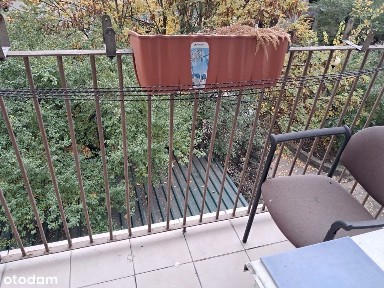 Śródmieście, Gorzów Wielkopolski, lubuskie