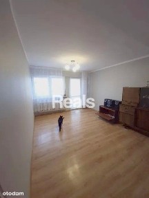 2 pokoje kuchnia balkon piwnica