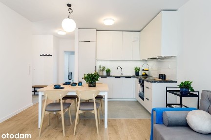 Comiesięczne dopłaty do czynszu | Pierwszy najemca | Zwierzolubne