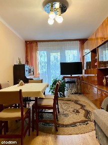 Mieszkanie 2 pokoje, loggia, blok, Pabianice, ul. Moniuszki