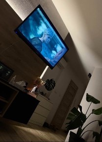 mieszkanie legnicka- centrum