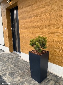 Chocianowice, Górna, Łódź, łódzkie