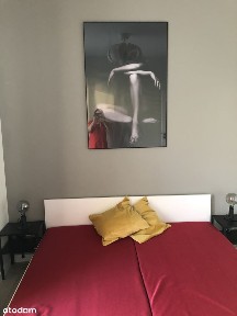 Mieszkanie w centrum Warszawa do wynajęcia od zaraz
