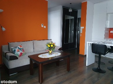 Wynajmę 2-pokojowe z garażem, PKP Rakowiec, Park