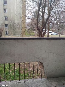 Bezpośrednio od właściciela, 3 pokojowe mieszkanie w zielonej okolicy