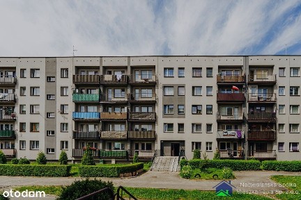 Mieszkanie do wynajęcia