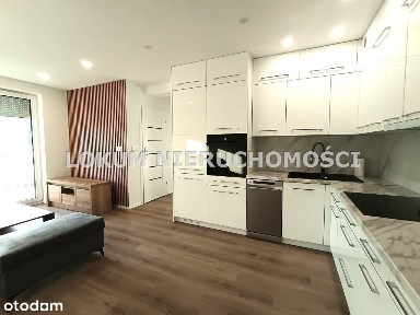 Mieszkanie Do Wynajęcia Z Miejscem Parkingowym.