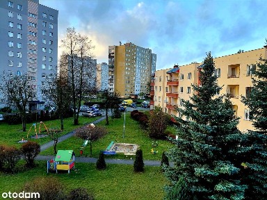 Mieszkanie 48,4 m2 ul. Pawia Kielce