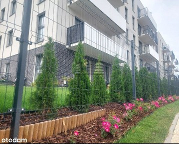 Apartamet - Opcja najmu na pokoje - Utp!