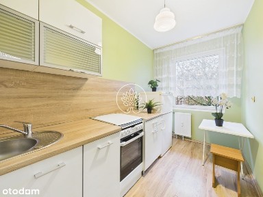 kawalerka na wynajem