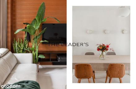 Dom w mieście z widokiem na starodrzew | Ochota